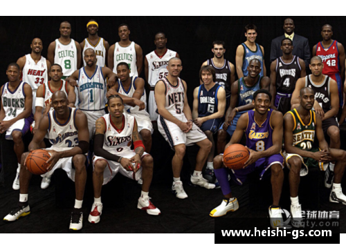 DB视讯官方网站中国球员登陆NBA：历史、影响与未来 - 副本