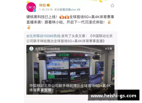 DB视讯官方网站意甲直播平台频频更换，球迷质疑服务质量