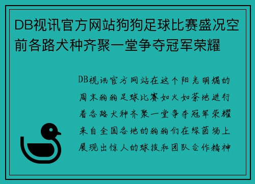 DB视讯官方网站狗狗足球比赛盛况空前各路犬种齐聚一堂争夺冠军荣耀